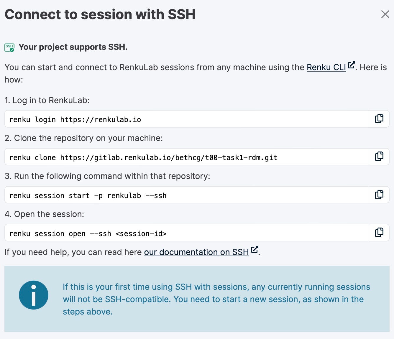 Follow the instructions in the pop-up screen to start and connect to RenkuLab.